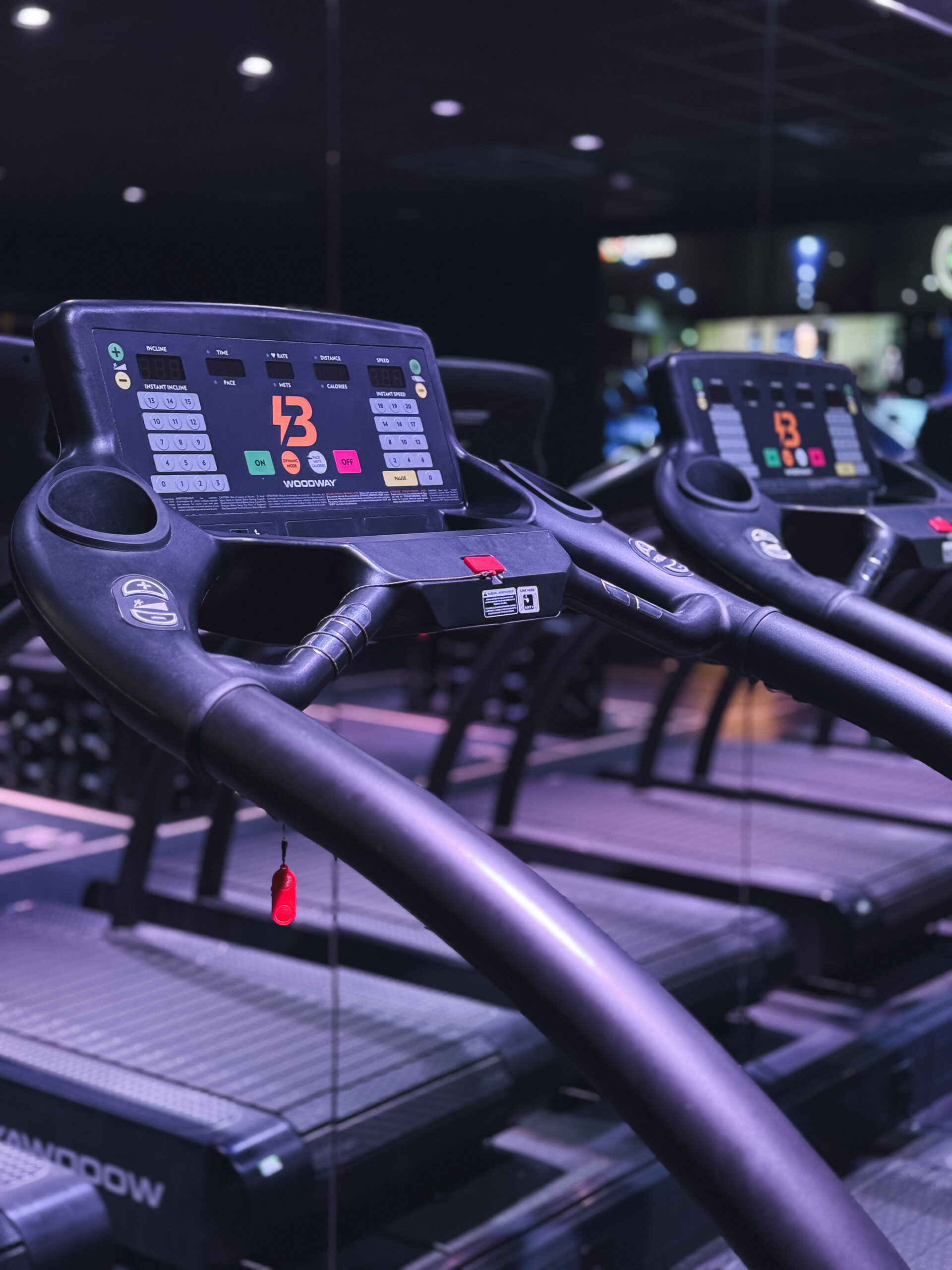 Gym Content Creation