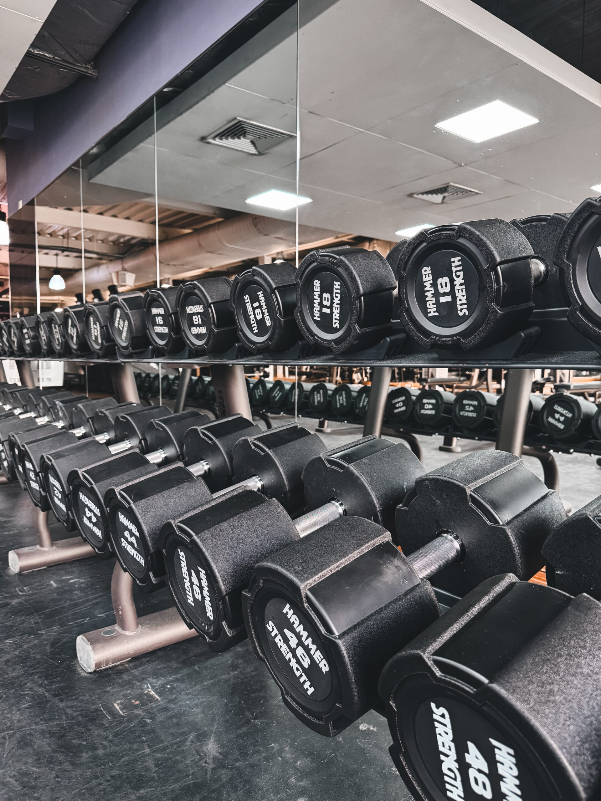 Gym Content creation in Essex